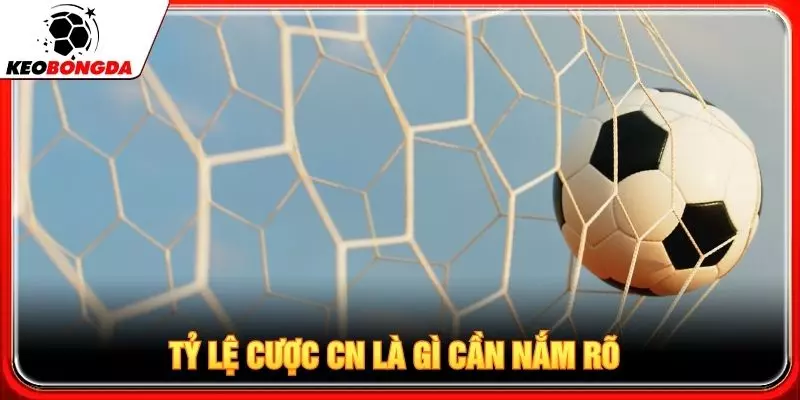 Tỷ lệ cược cn là gì cần nắm rõ